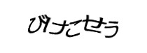 Authentication image