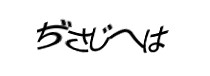 Authentication image